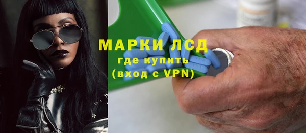 ПСИЛОЦИБИНОВЫЕ ГРИБЫ Арсеньев