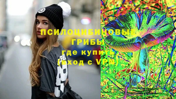 ПСИЛОЦИБИНОВЫЕ ГРИБЫ Арсеньев