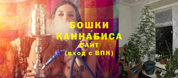 ПСИЛОЦИБИНОВЫЕ ГРИБЫ Арсеньев
