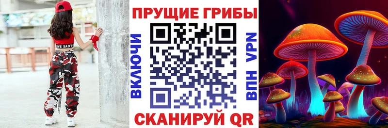 Псилоцибиновые грибы Psilocybine cubensis  Семикаракорск 